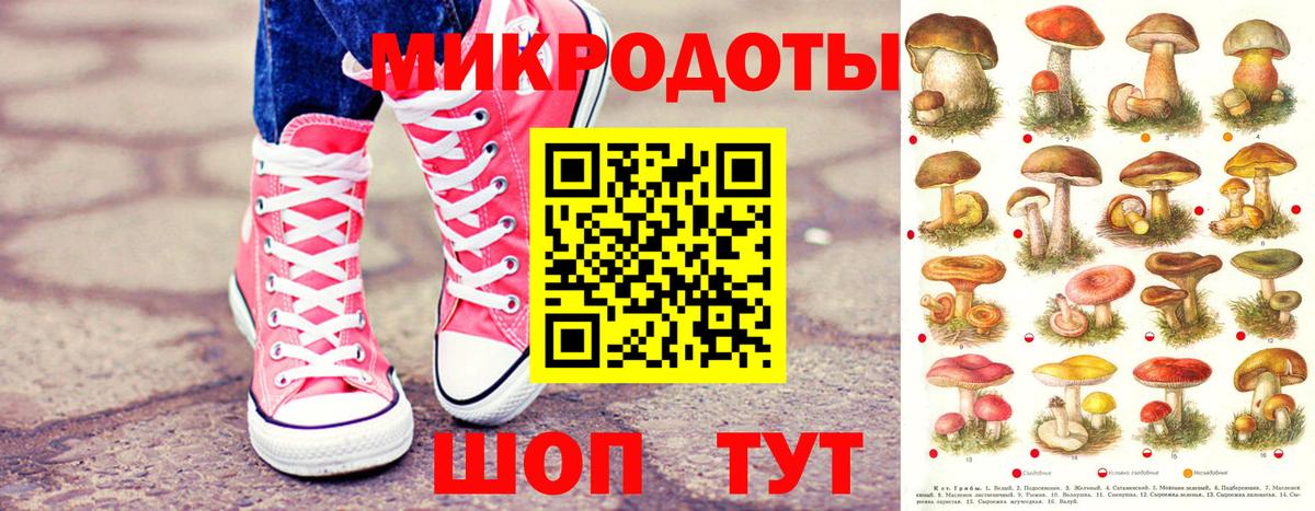 Сокол  Псилоцибиновые грибы Psilocybe  Вход с VPN  Псилоцибиновые грибы MAGIC MUSHROOMS 